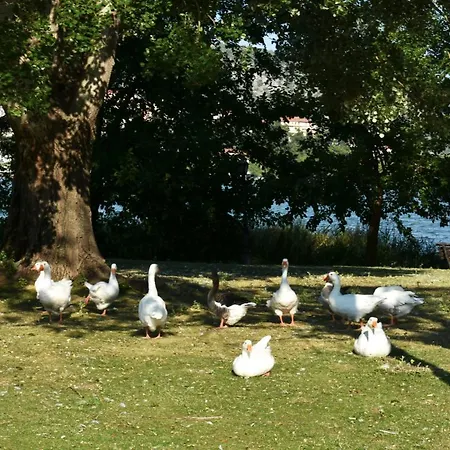 Daire κεντρικό και ευρύχωρο οροφοδιαμέρισμα Kesriye