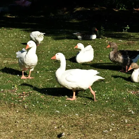 Appartement κεντρικό και ευρύχωρο οροφοδιαμέρισμα *