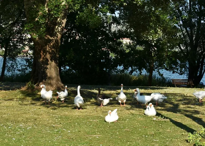 公寓 κεντρικό και ευρύχωρο οροφοδιαμέρισμα 卡斯托里亚