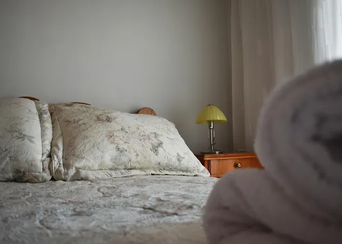 公寓 κεντρικό και ευρύχωρο οροφοδιαμέρισμα 卡斯托里亚