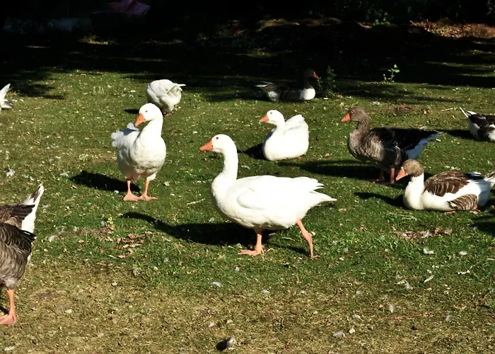 公寓 κεντρικό και ευρύχωρο οροφοδιαμέρισμα *