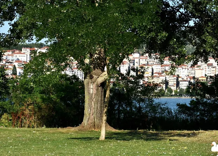 κεντρικό και ευρύχωρο οροφοδιαμέρισμα Kastoria
