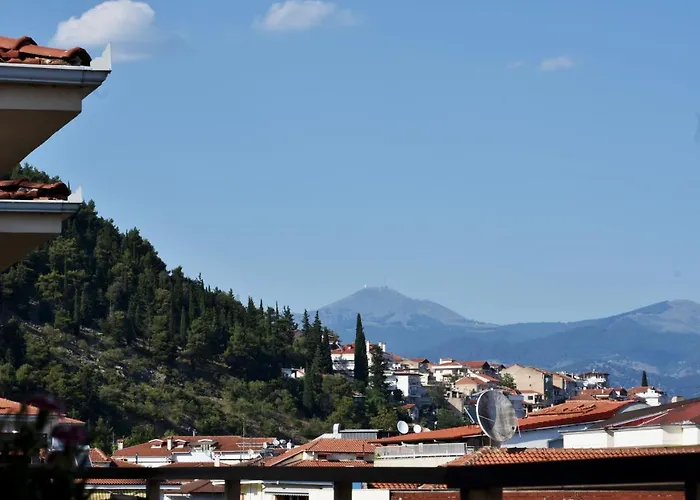 公寓 κεντρικό και ευρύχωρο οροφοδιαμέρισμα *